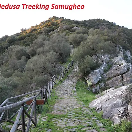 Frühstückspension Da Marianna Samugheo